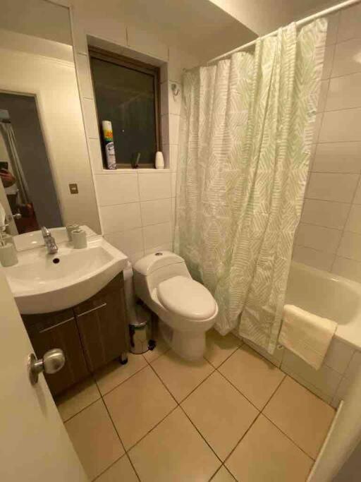 Comodo Departamento En El Centro De Stgo Apartment Santiago Ngoại thất bức ảnh